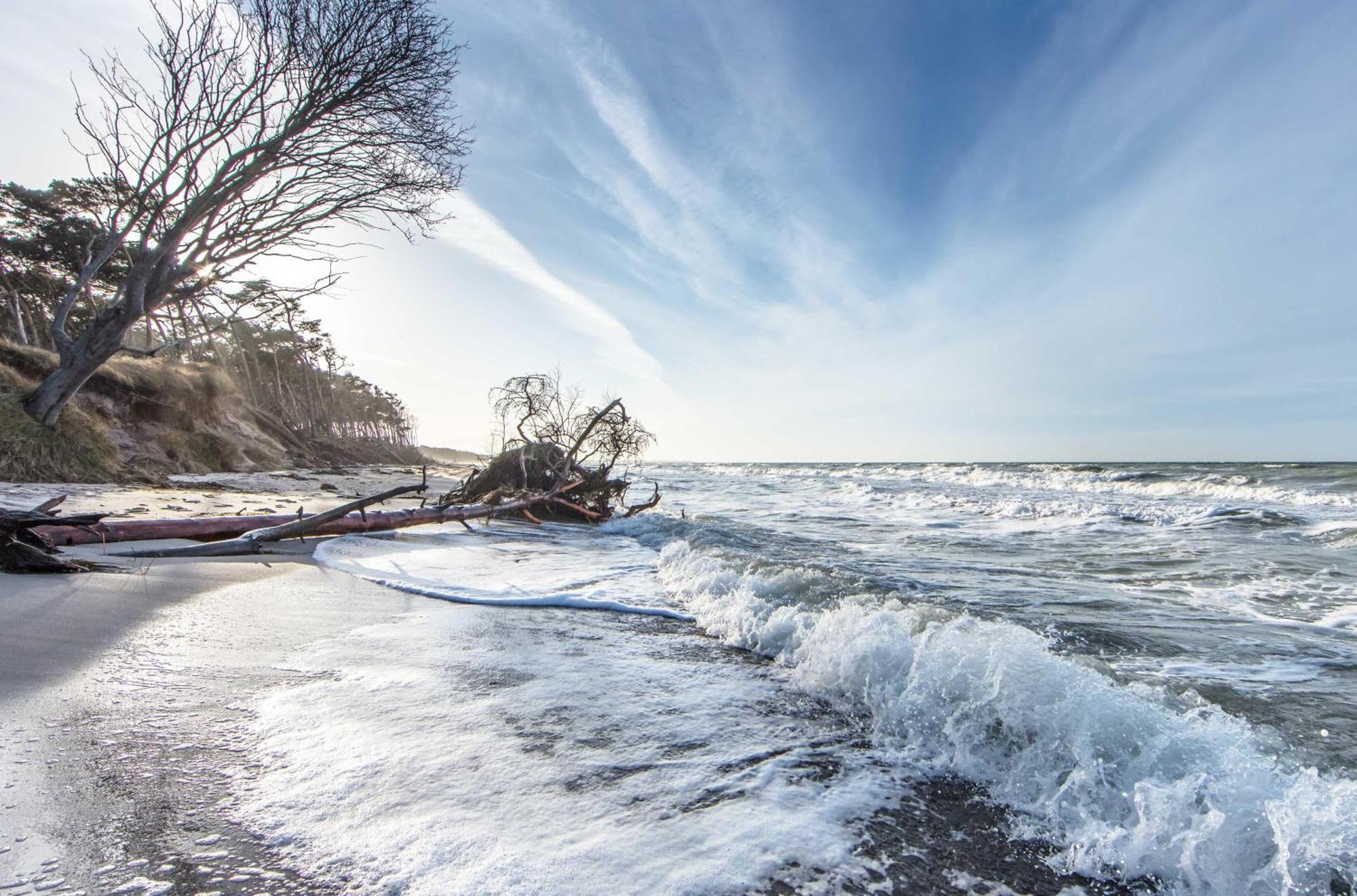 Leuchtturm An Der Seebruecke Zingst Buitenkant foto
