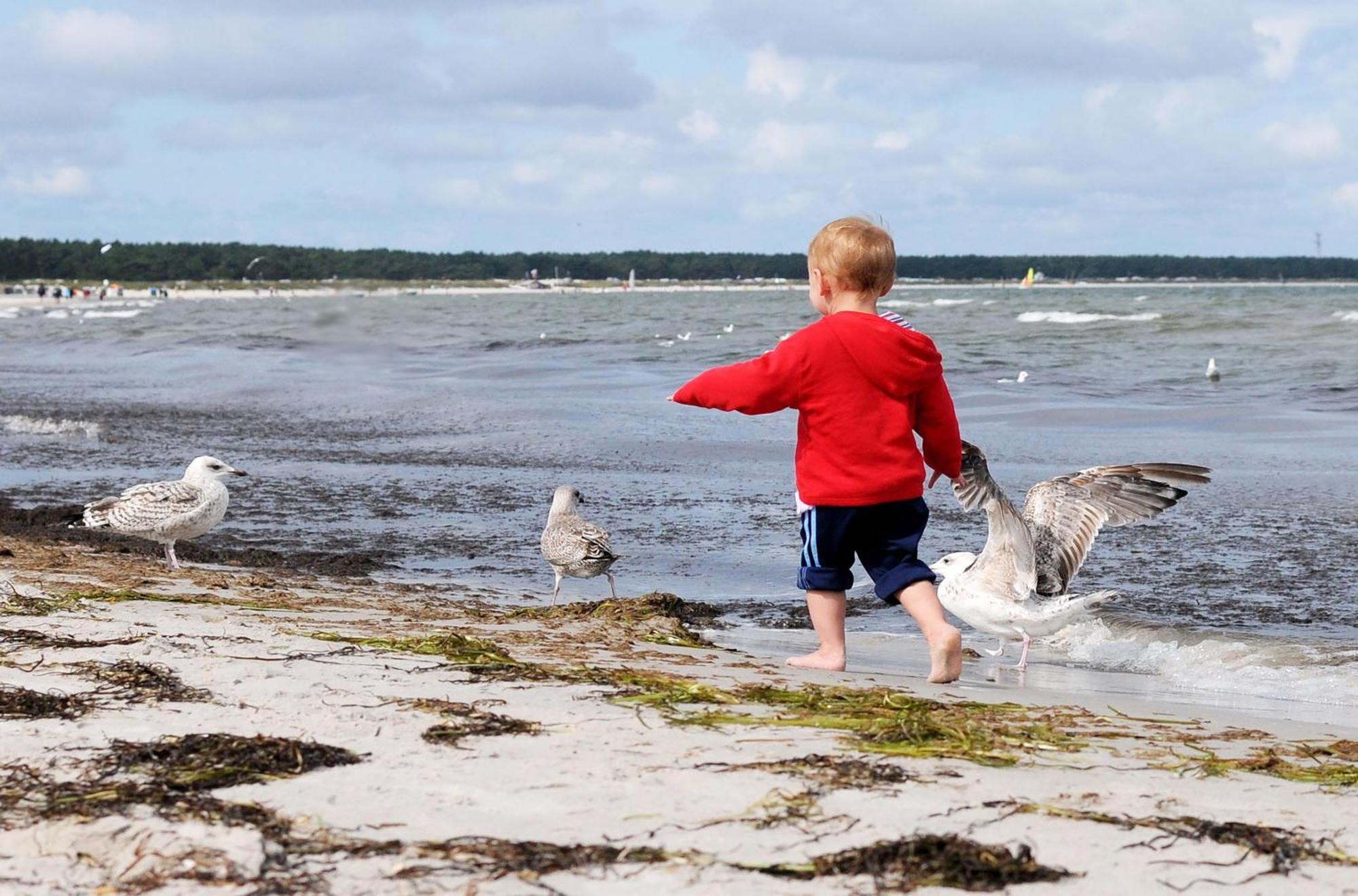 Leuchtturm An Der Seebruecke Zingst Buitenkant foto