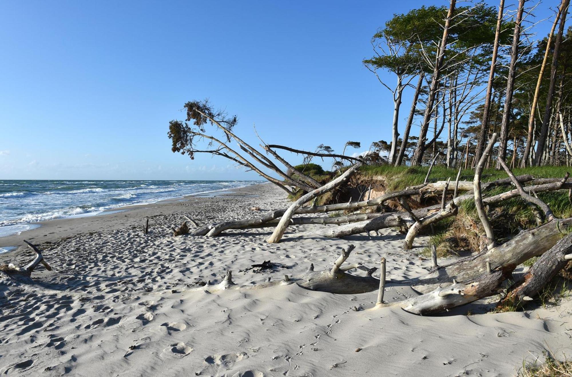 Leuchtturm An Der Seebruecke Zingst Buitenkant foto